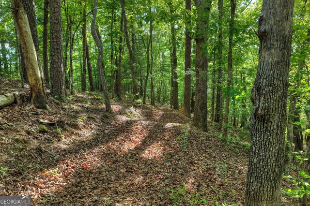 8 AC McNelley Road, Morganton, GA 30560
