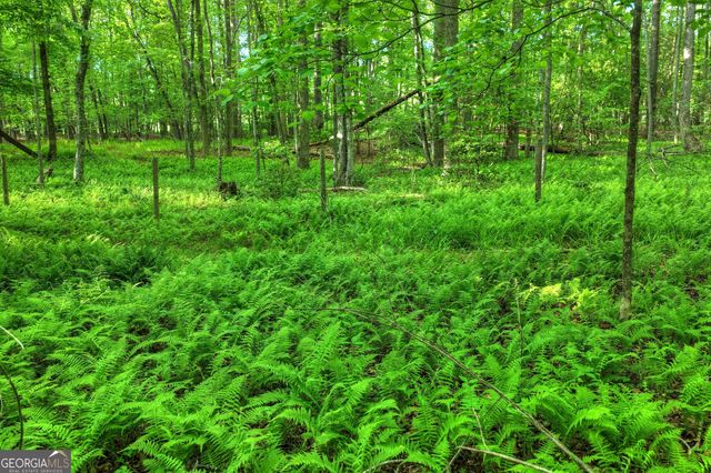 8 AC McNelley Road, Morganton, GA 30560