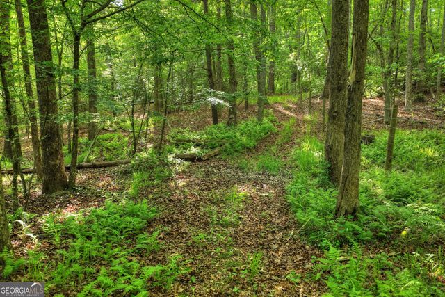 8 AC McNelley Road, Morganton, GA 30560