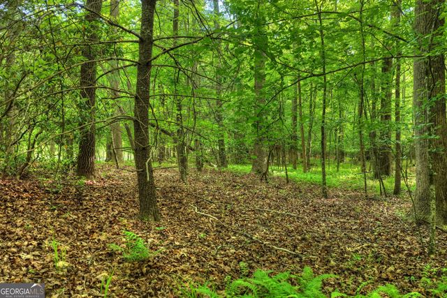 8 AC McNelley Road, Morganton, GA 30560