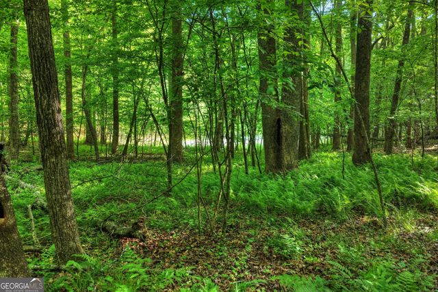 8 AC McNelley Road, Morganton, GA 30560