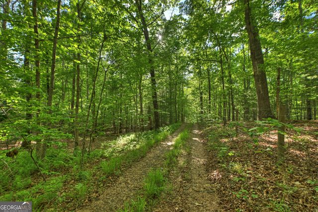 8 AC McNelley Road, Morganton, GA 30560