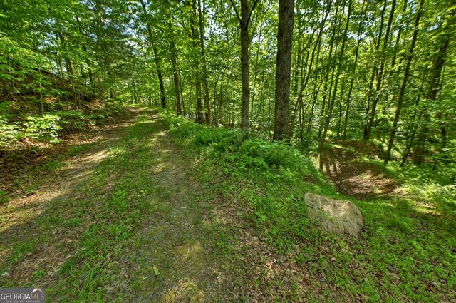 8 AC McNelley Road, Morganton, GA 30560