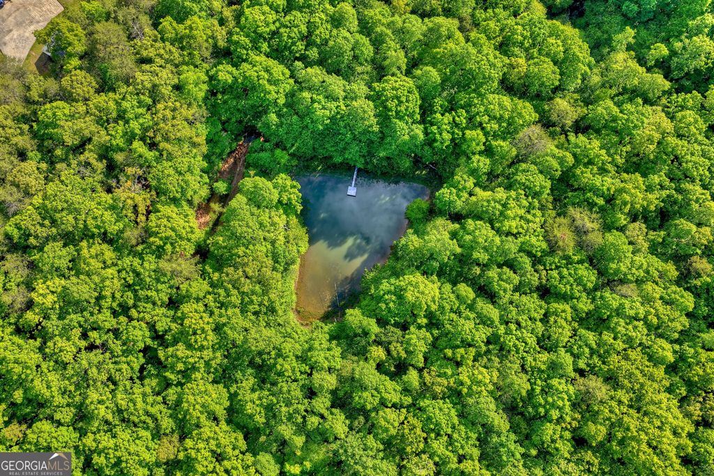 8 AC McNelley Road, Morganton, GA 30560