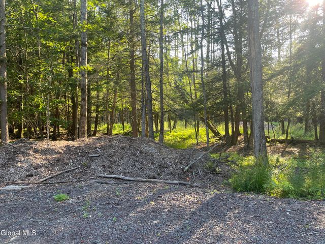 TBD Boulder Brook Road Lot 8, Windham, NY 12496