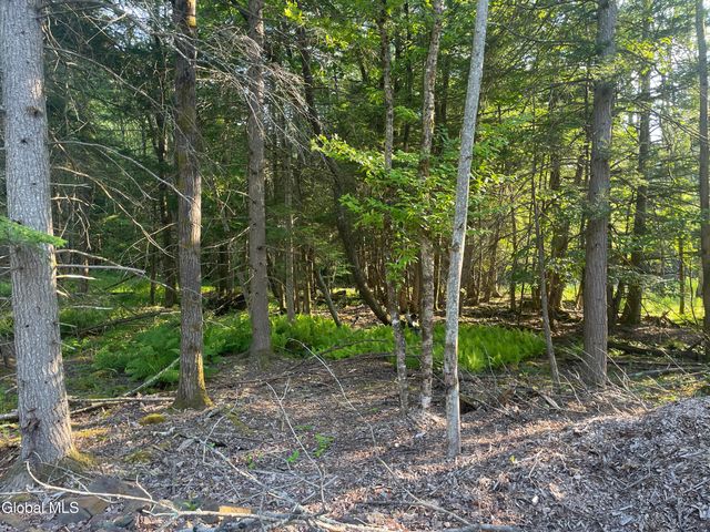 TBD Boulder Brook Road Lot 8, Windham, NY 12496