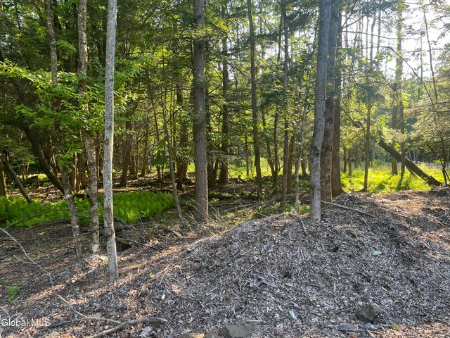TBD Boulder Brook Road Lot 8, Windham, NY 12496