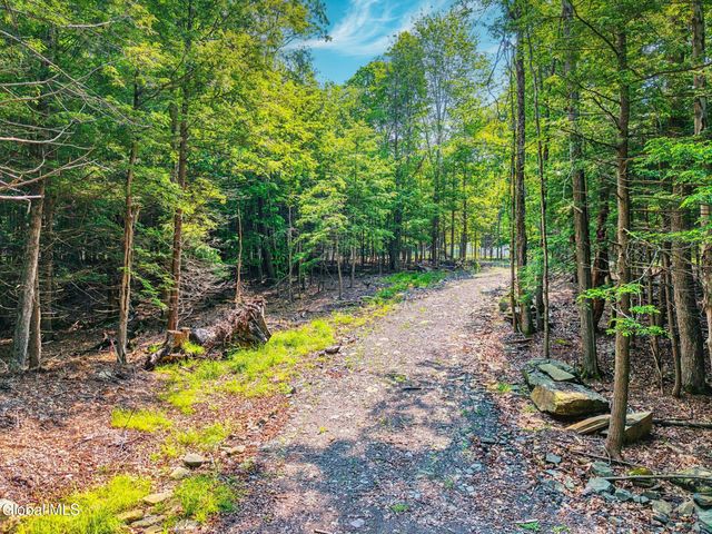 TBD Boulder Brook Road Lot 8, Windham, NY 12496