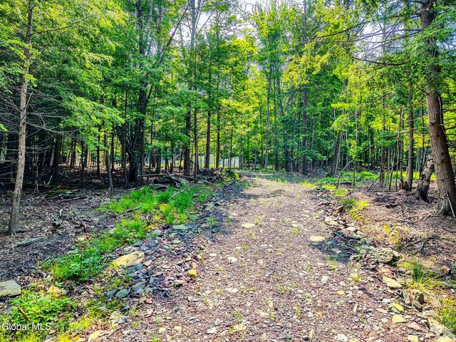 TBD Boulder Brook Road Lot 8, Windham, NY 12496