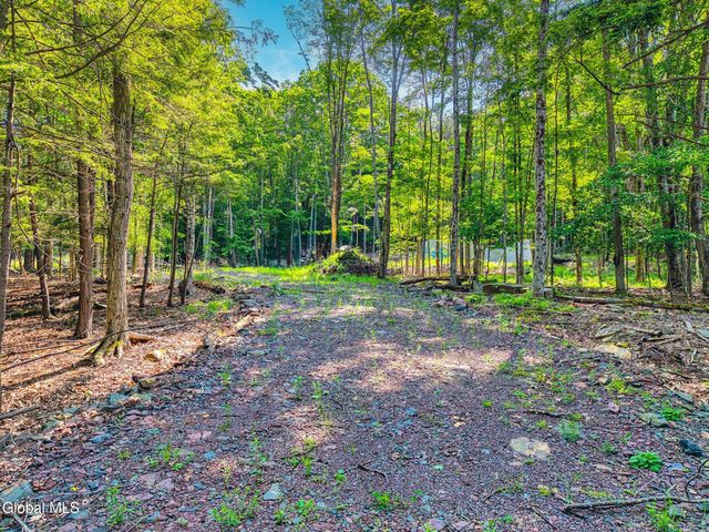 TBD Boulder Brook Road Lot 8, Windham, NY 12496