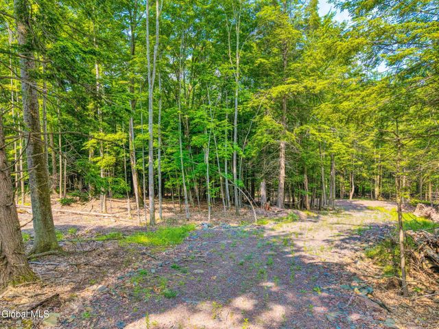 TBD Boulder Brook Road Lot 8, Windham, NY 12496