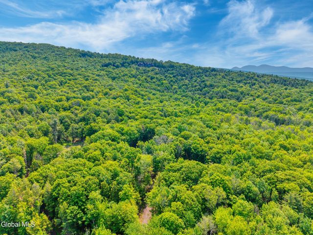 TBD Boulder Brook Road Lot 8, Windham, NY 12496