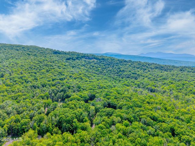 TBD Boulder Brook Road Lot 8, Windham, NY 12496