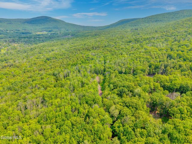 TBD Boulder Brook Road Lot 8, Windham, NY 12496