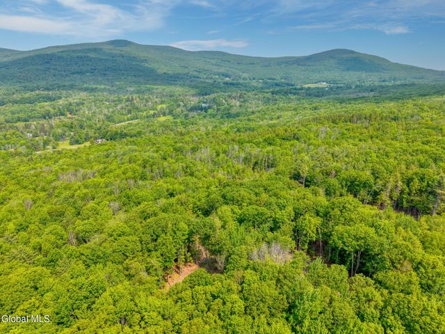 TBD Boulder Brook Road Lot 8, Windham, NY 12496