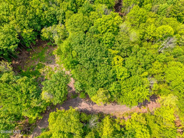 TBD Boulder Brook Road Lot 8, Windham, NY 12496