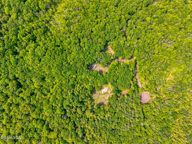 TBD Boulder Brook Road Lot 8, Windham, NY 12496