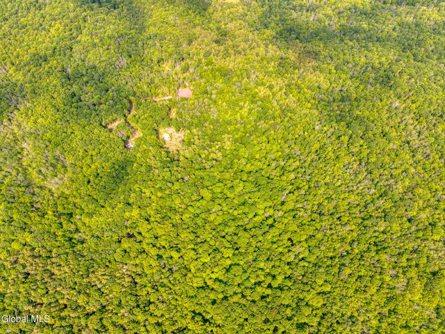 TBD Boulder Brook Road Lot 8, Windham, NY 12496