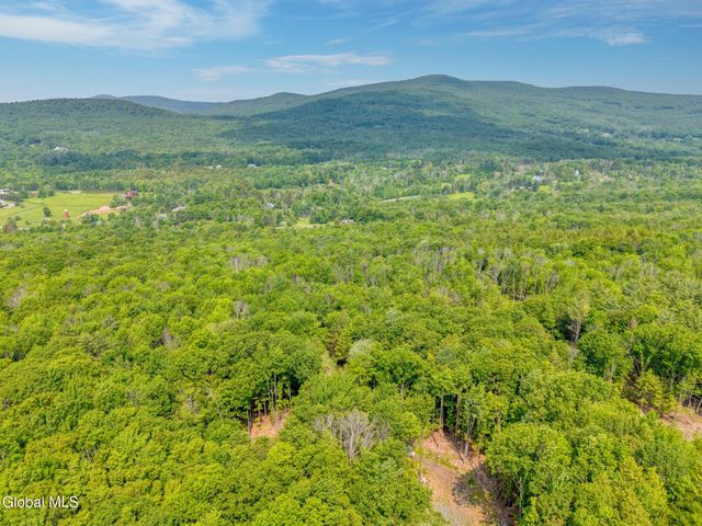 TBD Boulder Brook Road Lot 8, Windham, NY 12496