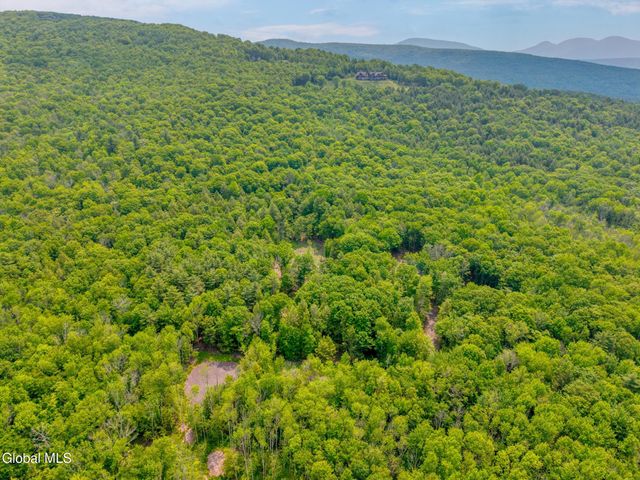 TBD Boulder Brook Road Lot 8, Windham, NY 12496