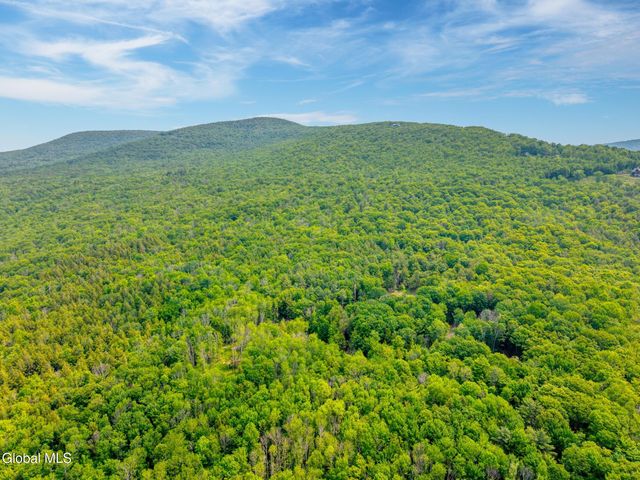 TBD Boulder Brook Road Lot 8, Windham, NY 12496