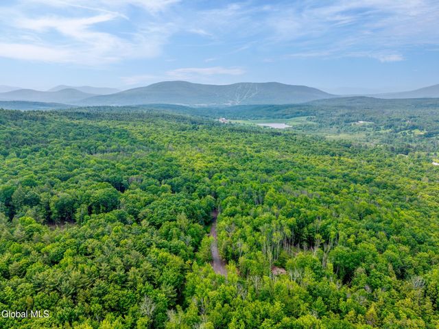TBD Boulder Brook Road Lot 8, Windham, NY 12496