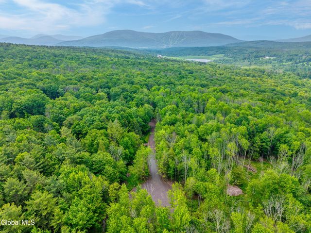 TBD Boulder Brook Road Lot 8, Windham, NY 12496