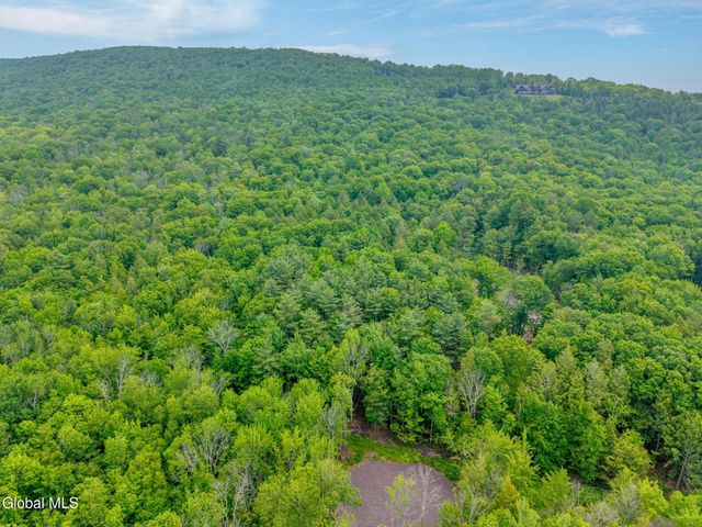 TBD Boulder Brook Road Lot 8, Windham, NY 12496