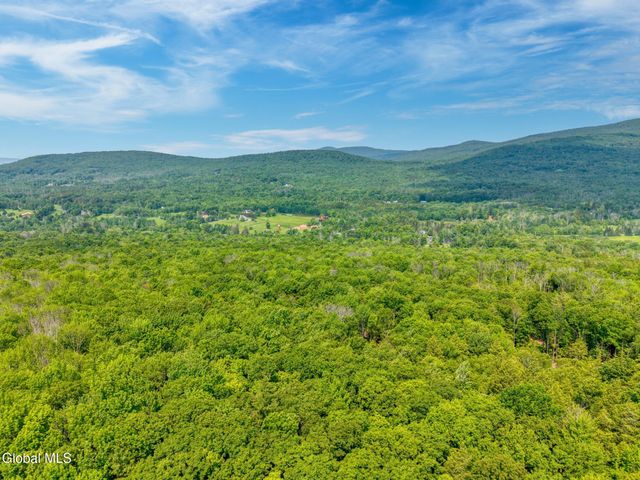 TBD Boulder Brook Road Lot 8, Windham, NY 12496