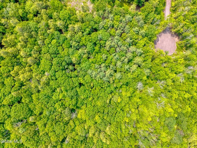 TBD Boulder Brook Road Lot 8, Windham, NY 12496