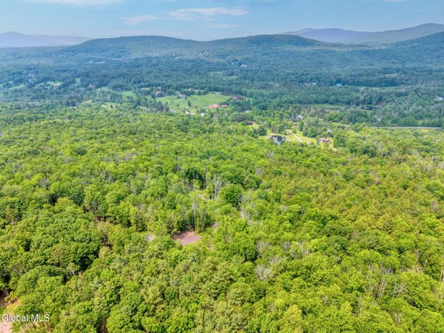TBD Boulder Brook Road Lot 8, Windham, NY 12496