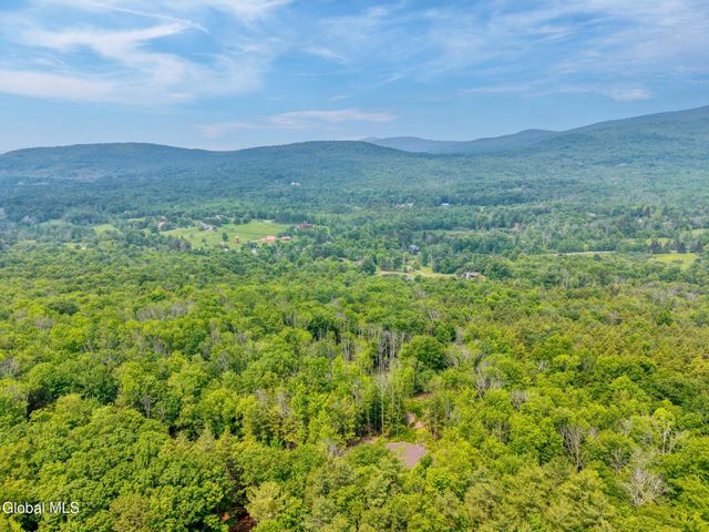 TBD Boulder Brook Road Lot 8, Windham, NY 12496