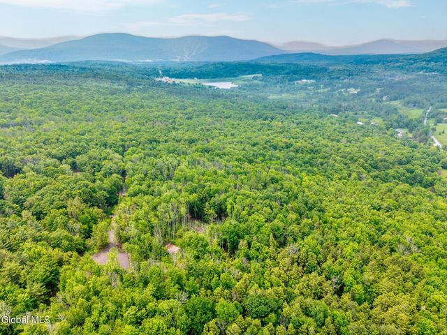 TBD Boulder Brook Road Lot 8, Windham, NY 12496