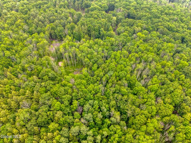 TBD Boulder Brook Road Lot 8, Windham, NY 12496