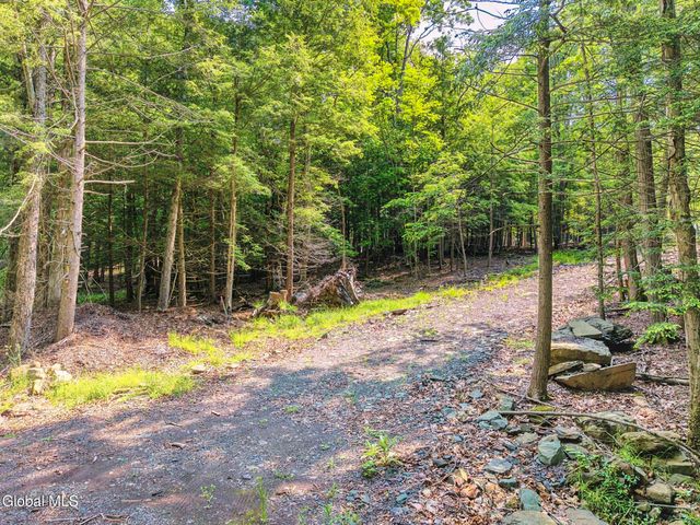 TBD Boulder Brook Road Lot 8, Windham, NY 12496