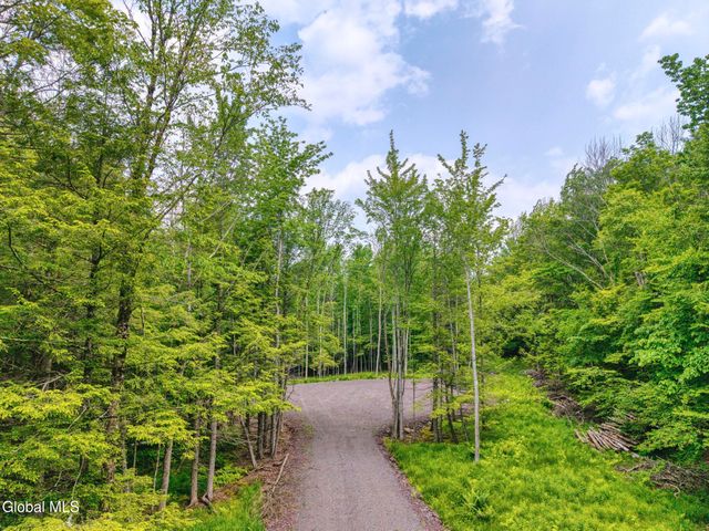TBD Boulder Brook Road Lot 8, Windham, NY 12496