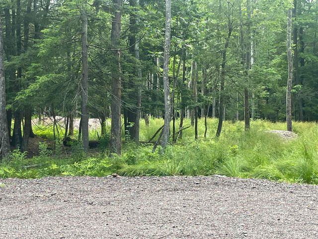 TBD Boulder Brook Road Lot 8, Windham, NY 12496