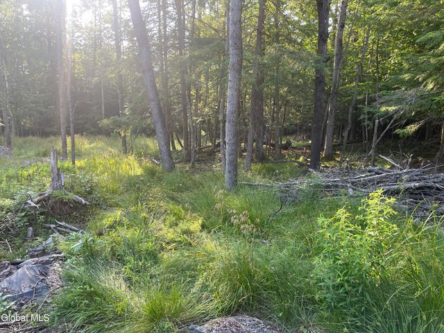 TBD Boulder Brook Road Lot 8, Windham, NY 12496