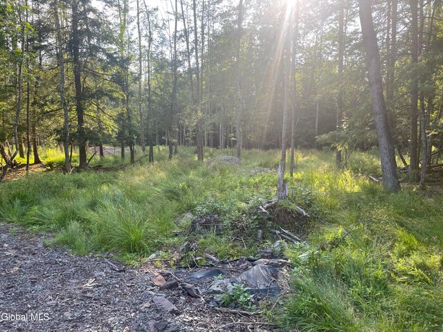 TBD Boulder Brook Road Lot 8, Windham, NY 12496
