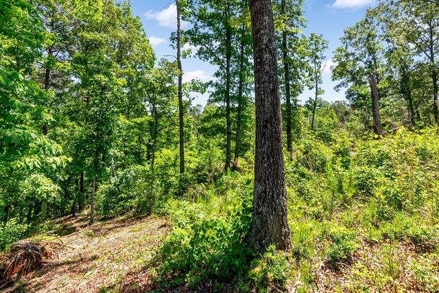 0 Shallow Water Way, Talking Rock, GA 30175
