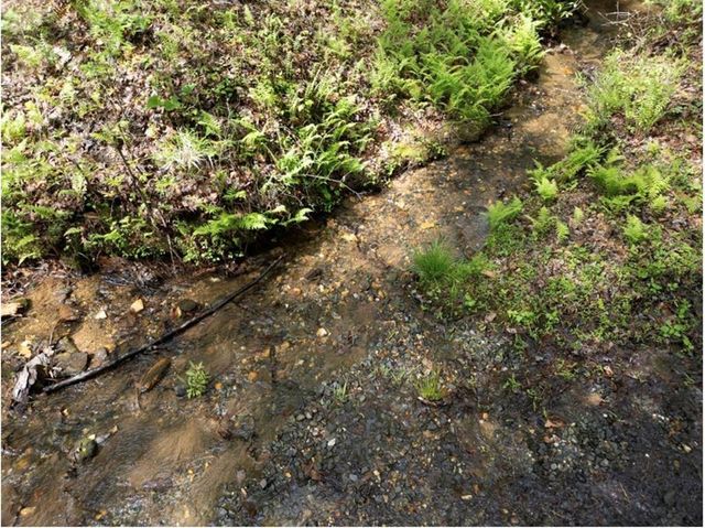 0 Shallow Water Way, Talking Rock, GA 30175