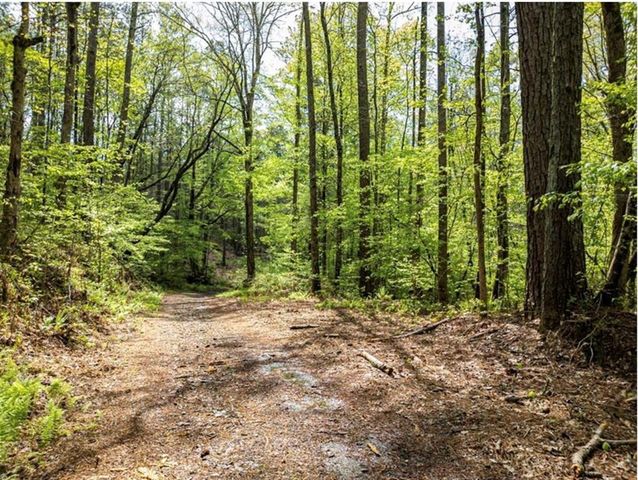 0 Shallow Water Way, Talking Rock, GA 30175
