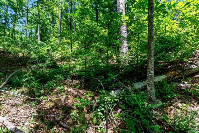 0 Shallow Water Way, Talking Rock, GA 30175