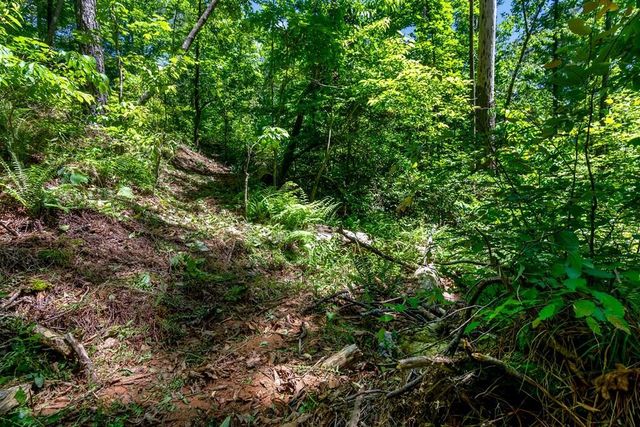 0 Shallow Water Way, Talking Rock, GA 30175