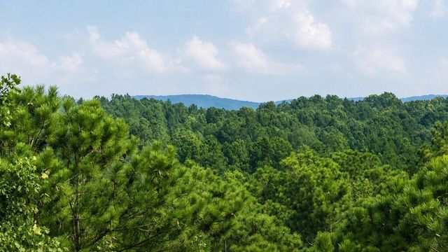 0 Shallow Water Way, Talking Rock, GA 30175
