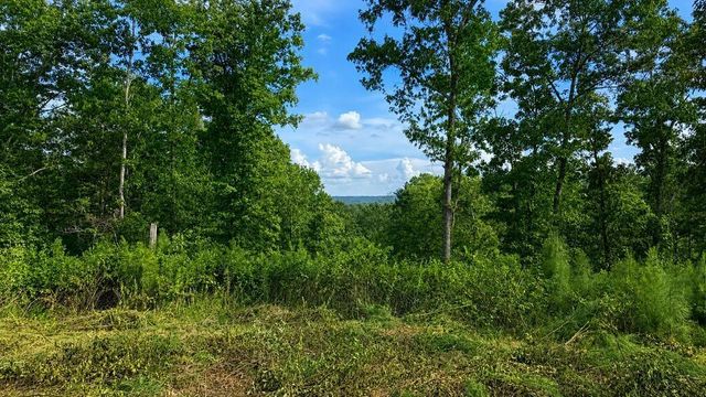0 Shallow Water Way, Talking Rock, GA 30175