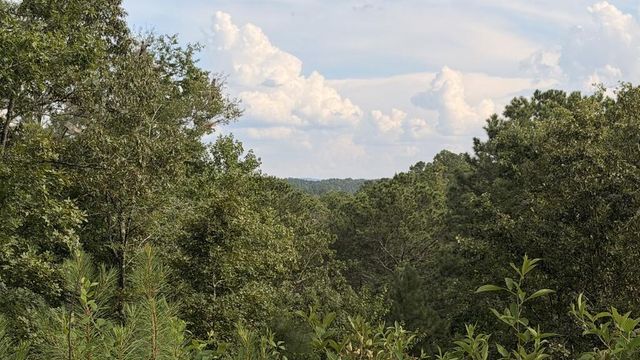 0 Shallow Water Way, Talking Rock, GA 30175