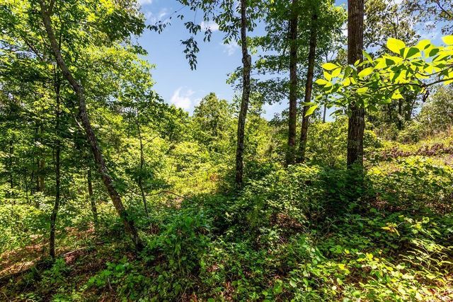 0 Shallow Water Way, Talking Rock, GA 30175