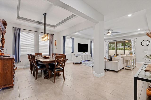 23122 SCAGLIONE DRIVE, Lutz, FL 33549