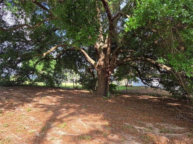 1408 WESTMORELAND AVENUE, Eustis, FL 32726